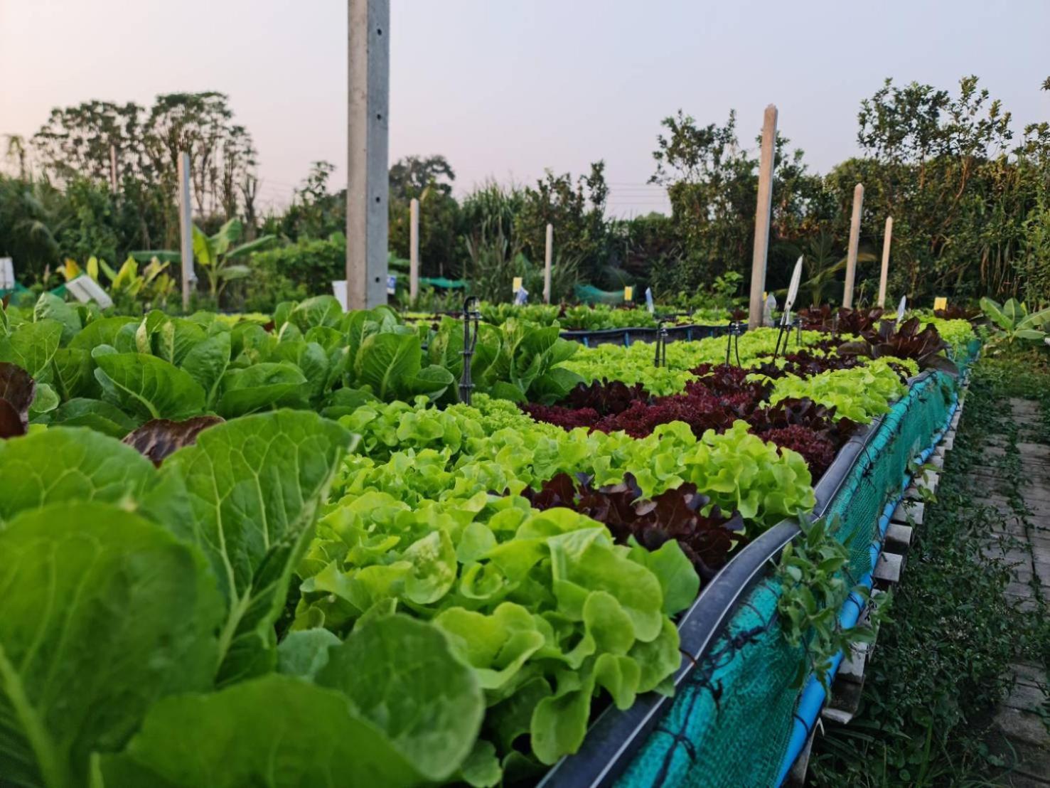 Kanchanaburi City Hotel Dış mekan fotoğraf